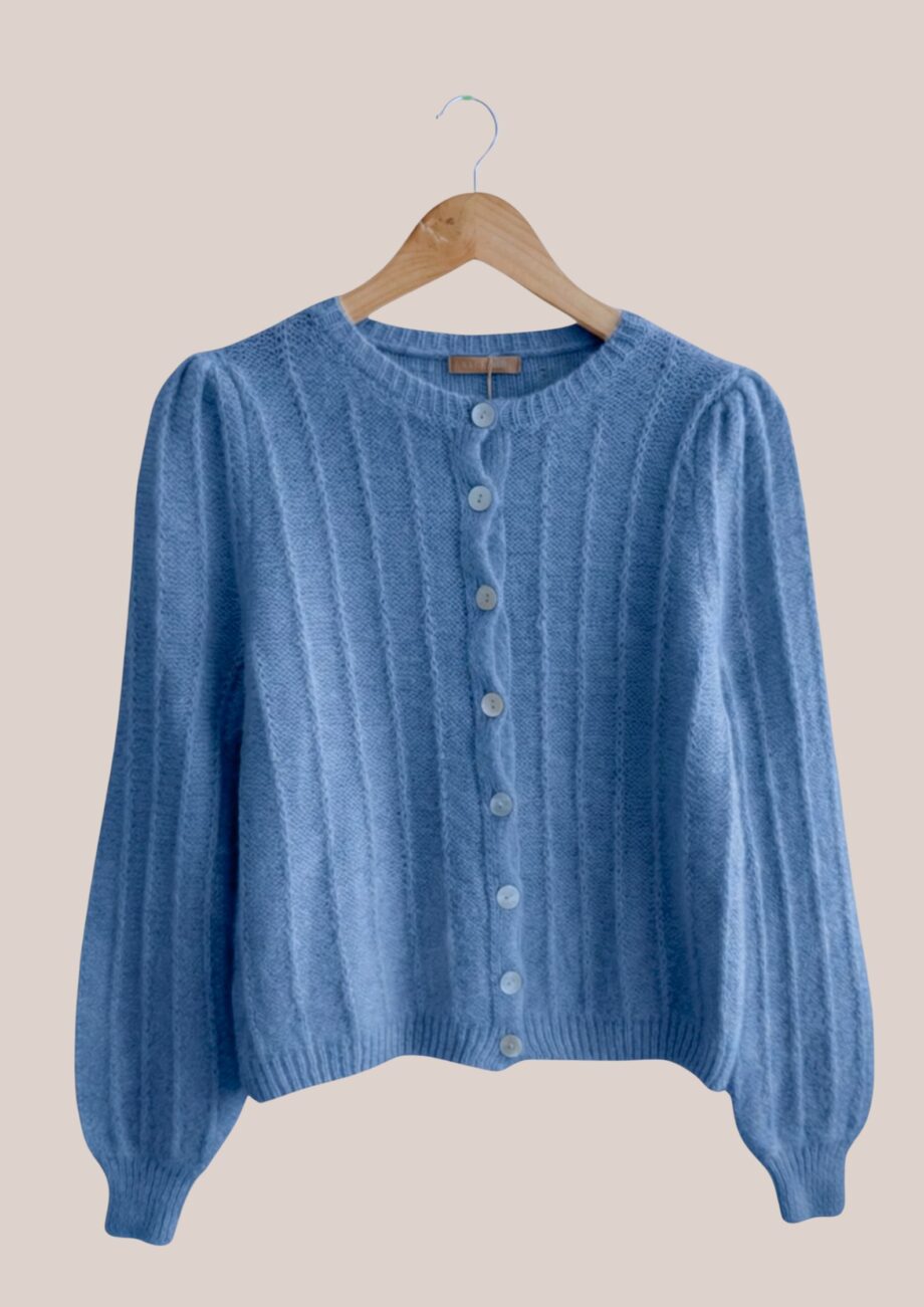 Gilet longues manches Gary de coloris bleu - forESTIME